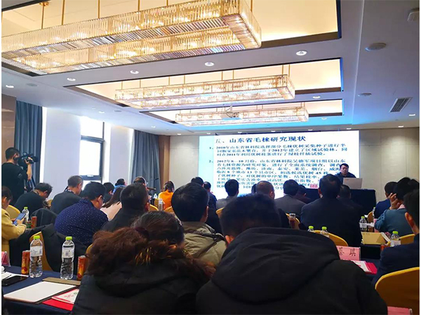 毛梾產(chǎn)業(yè)國家創(chuàng)新聯(lián)盟成立大會(huì)暨***屆理事會(huì)開幕